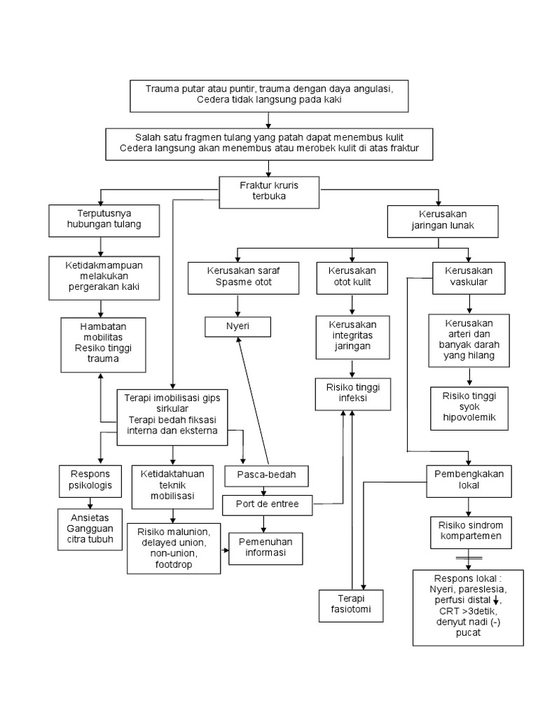Pathways Opened Fracture Cruris PDF