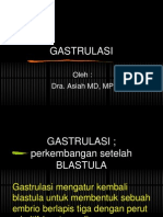 Gastrulasi