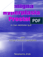 Benign Prostat Hyperplasia 