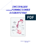 2276811-Malformaciones-Digestivas.pdf