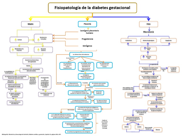 diabetes mellitus gestacional fisiopatologia