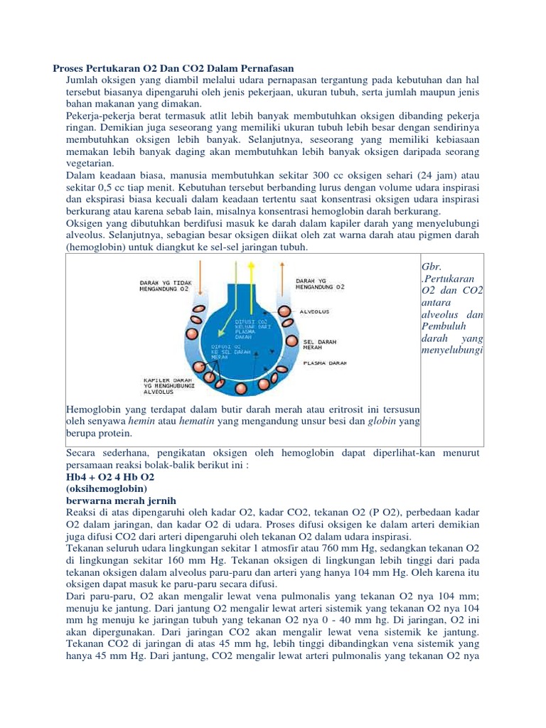Proses Pertukaran O2 Dan CO2 Dalam Pernafasan | PDF | Perjalanan ...
