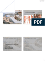 Introdução Ao Sistema Osteomuscular - Cabeça e Pescoço PDF
