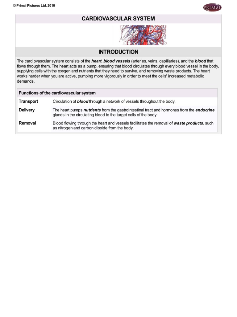 Understanding the Cardiovascular System | PDF