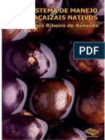 Manejo de Açaí PDF