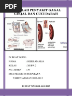 Download Makalah Penyakit Gagal Ginjal Dan Cuci Darah by Rizki Amalia Dstar SN242187588 doc pdf