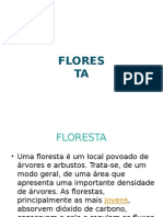 trabalho de ciências.docx.pptx