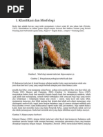 Download Kuda lautdocx by Marina Masyithoh SN242191281 doc pdf