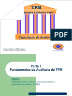 Auditores.ppt