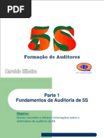 Auditores 5S.ppt