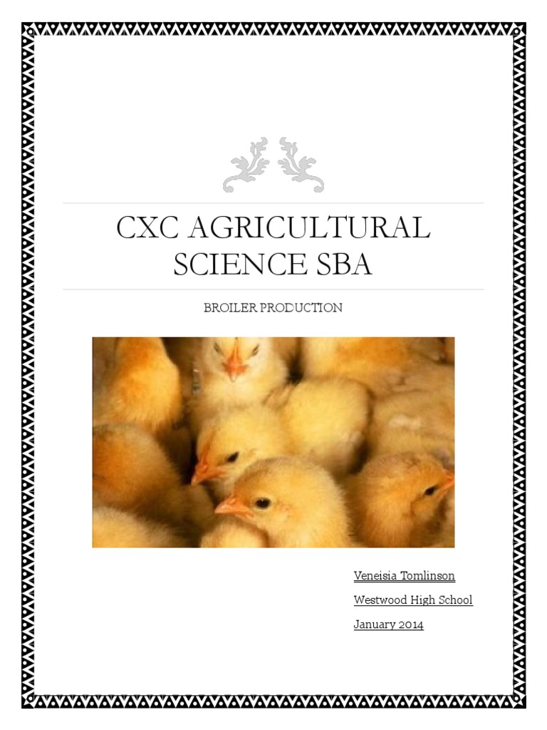 CXC Agricultural Science Sba PDF Broiler Chicken