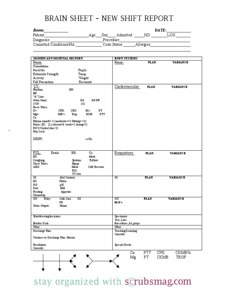 Nurse Brain Sheet New Shift Report