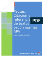 Instructivo - Pautas Normas APA 2012 CVUDES.doc