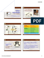 Safari Estrategia PDF