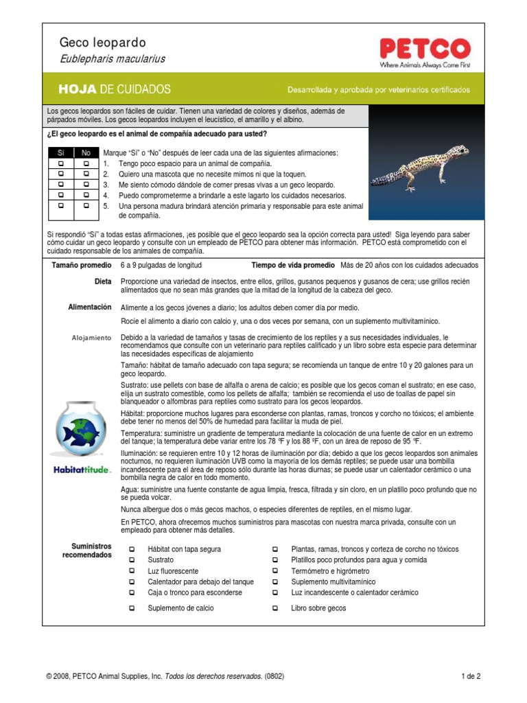 Leopard Gecko Spanish PDF | PDF | Encendiendo | Heces