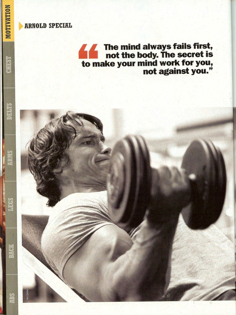 Arnold Training - Chest PDF | PDF | Thorax | Mind