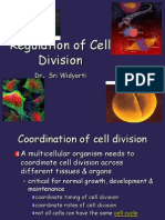 Regulation of Cell Division: DR Sri Widyarti