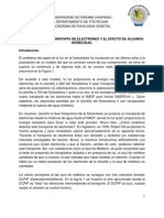 Practica No 6 - Transporte de Electrones PDF