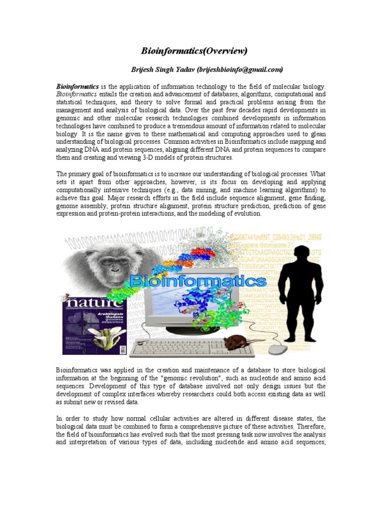 Bioinformatics Overview | PDF | Sequence Alignment | Bioinformatics