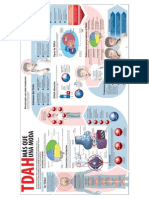 TDAH-interesante-visual-y-completa-infografía-.pdf