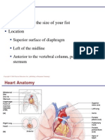 Anatomy Jantung Ppt