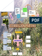 Ecorregión Páramo