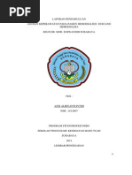 Download Lp Hemodialisa by dokyungso1992 SN242241100 doc pdf