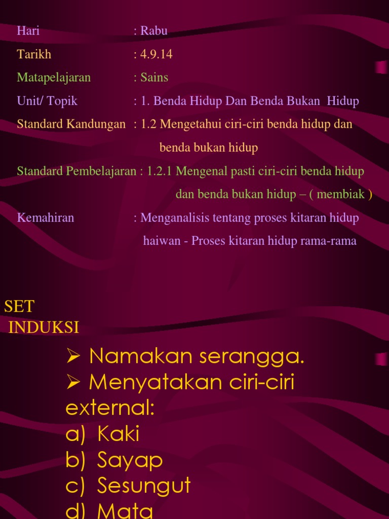 Kitaran Hidup Rama-Rama | PDF