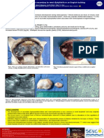 POSTER SEVC DISPLASIA RENAL.pdf