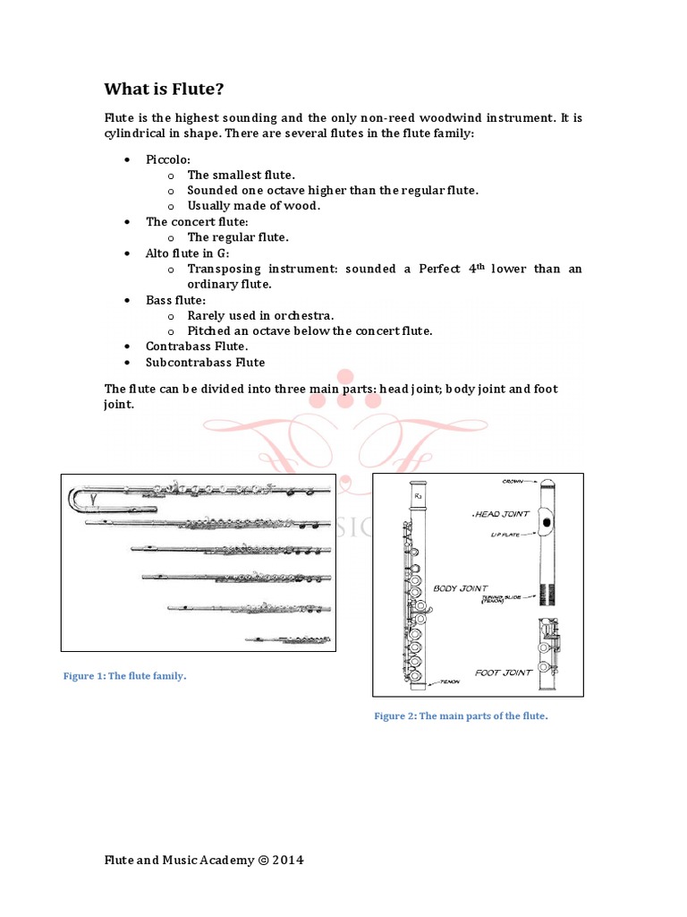 A Guide To Flute For Dummies PDF Flute Woodwind Instruments