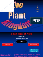 Plant Kingdom - Part - Two