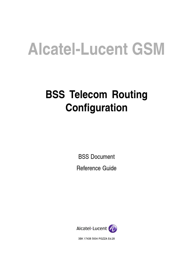 BSS Routing 174385004e28 PDF PDF Ip Address Computer Network