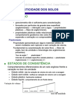 PLASTICIDADE.pdf