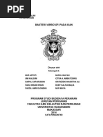 Download bakteri vibrio pada ikandocx by Umi Kalsum GohyeCalz SN242292326 doc pdf