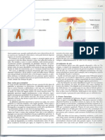 a pele 2.pdf