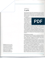 A pele.pdf