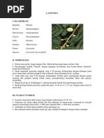 Download LAMTOROdocx by Zaleyna Nilmaz SN242301316 doc pdf