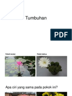 Tumbuhan