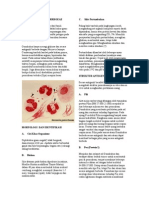 Neisseria Gonorrhoeae