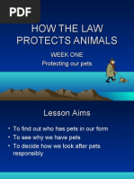 Download How the Law Protects Animals by MEDIA AT CHFS SN24230422 doc pdf