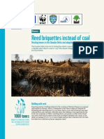 Reed Briquettes Instead of Coal: 1000 Tones