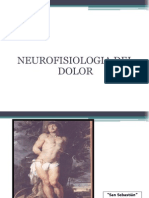Neurofisiologia Del Dolor 2014