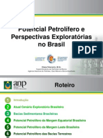 Potencial Petrolífero e Perspectivas Exploratórias no Brasil.pdf