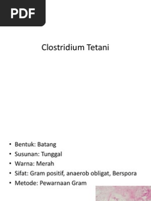 Clostridium Tetani