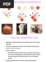 Download Bab 5 Pola-pola Hereditas SMA kelas 12 by Jundi Abyan SN242330186 doc pdf