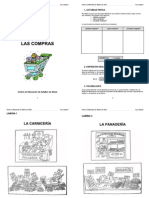 Tema 13B. Las Compras PDF