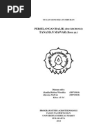 Download Persilangan Balik backcross pada tanaman mawar by Akmilia Ristina Wiradita SN242344081 doc pdf