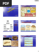 Cap 7 Rocas  Sedimentarias-E.pdf