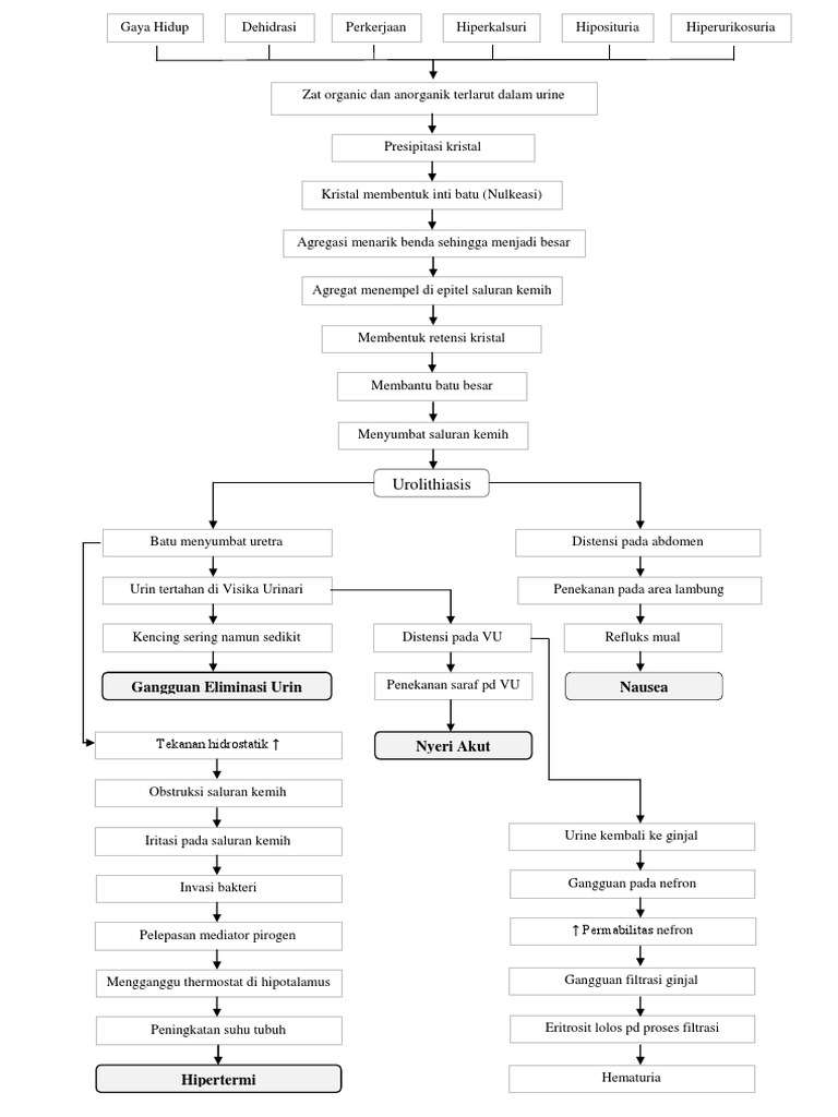 Pathway | PDF