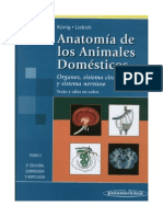Anatomia de Los Animales Tomo II - Kónig y Liebich PDF